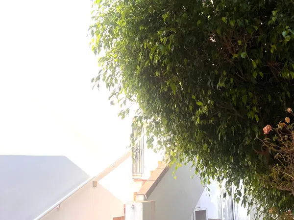 Casa o chalet independiente en Avenida de la Marina, 217, La Fustera, La Fustera - Foto 18