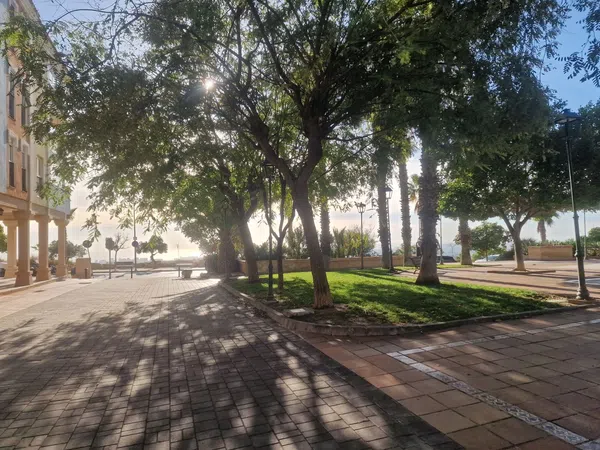 Estudio en calle de la Nit, 1 - Foto 17