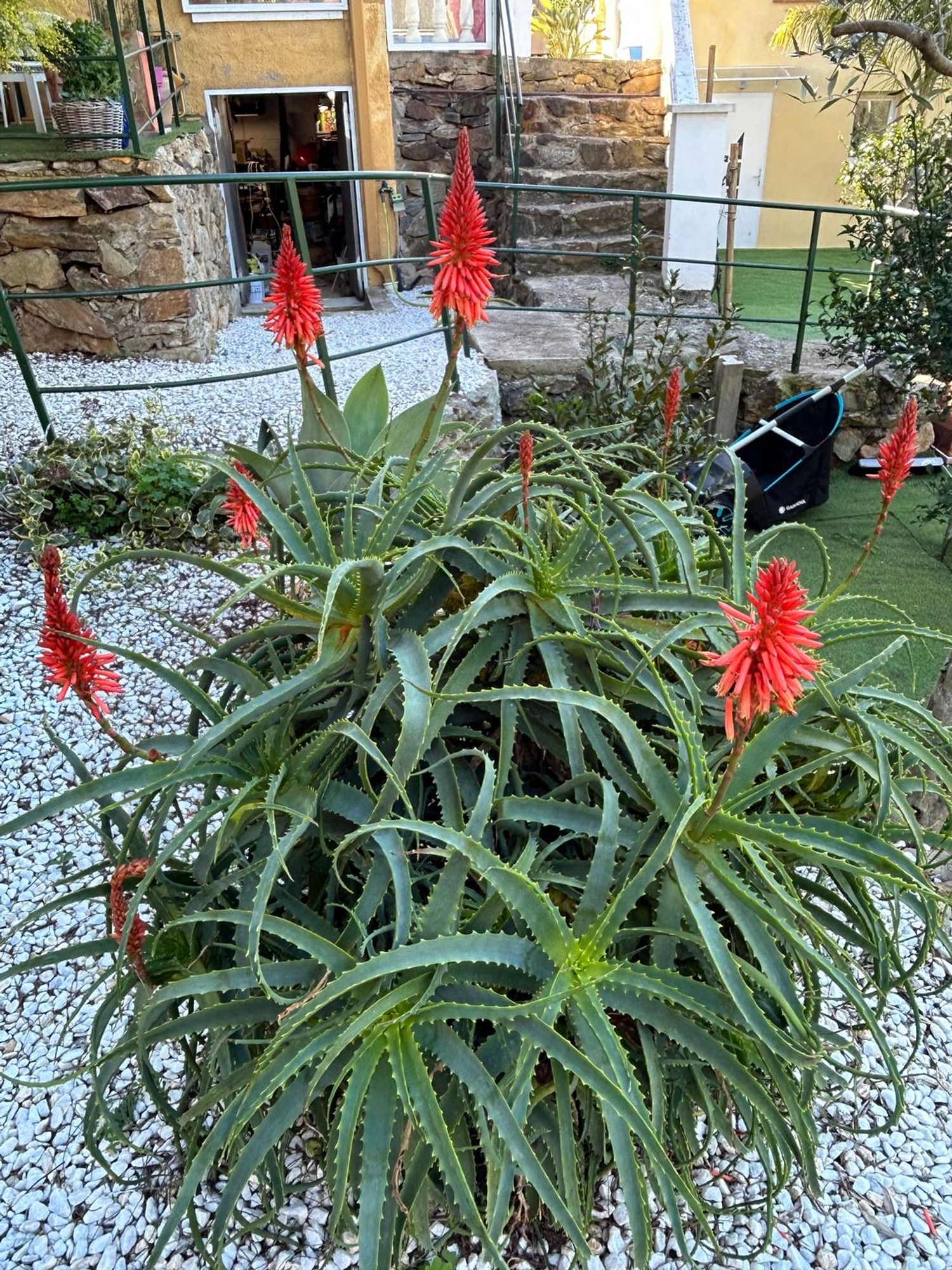 Casa o chalet independiente en Calle Jaén, 1, Nord, Nord - Foto 2