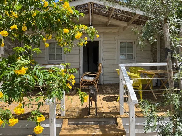 Casa o chalet independiente en Carretera de la ciudad antígua s/n - Foto 3