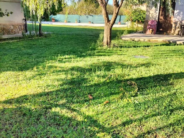 Casa o chalet independiente en Ronda de las Encinas, 115 - Foto 6