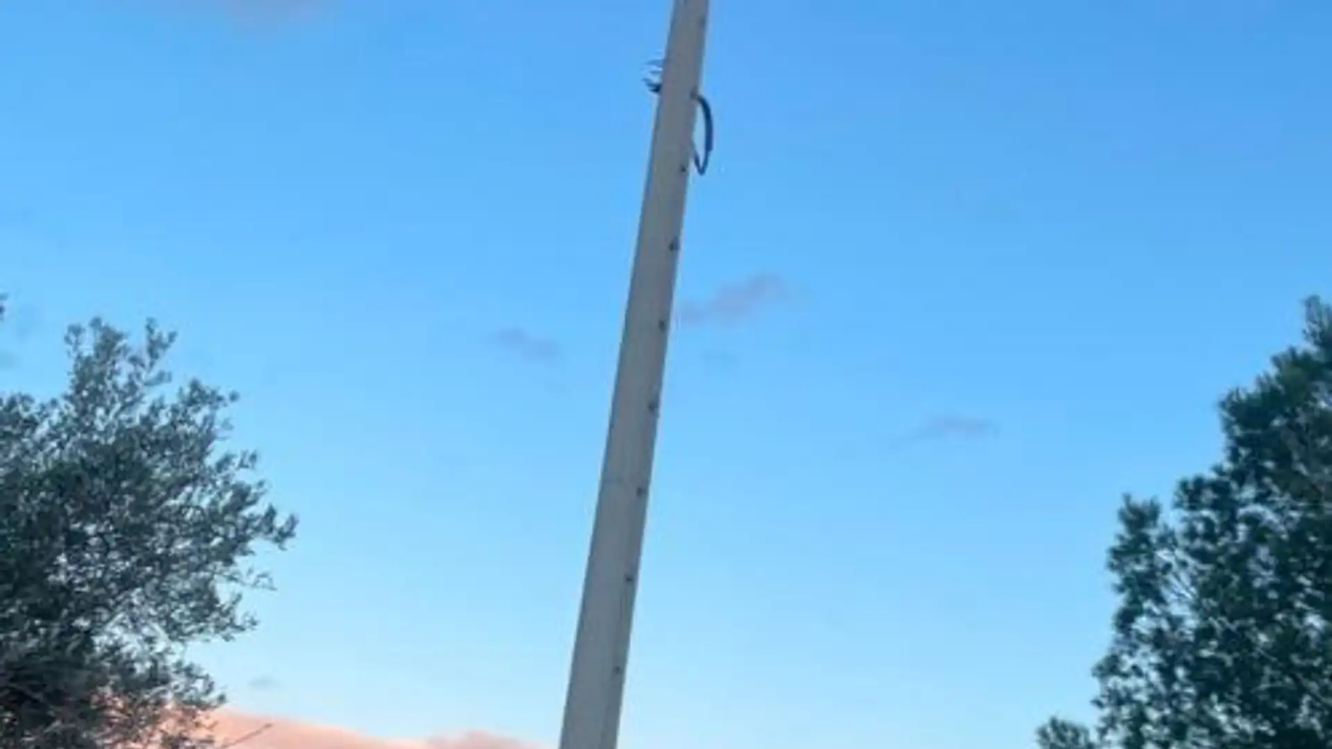 Finca rústica en  Carrer Abriat Cantó 14 - Foto 6