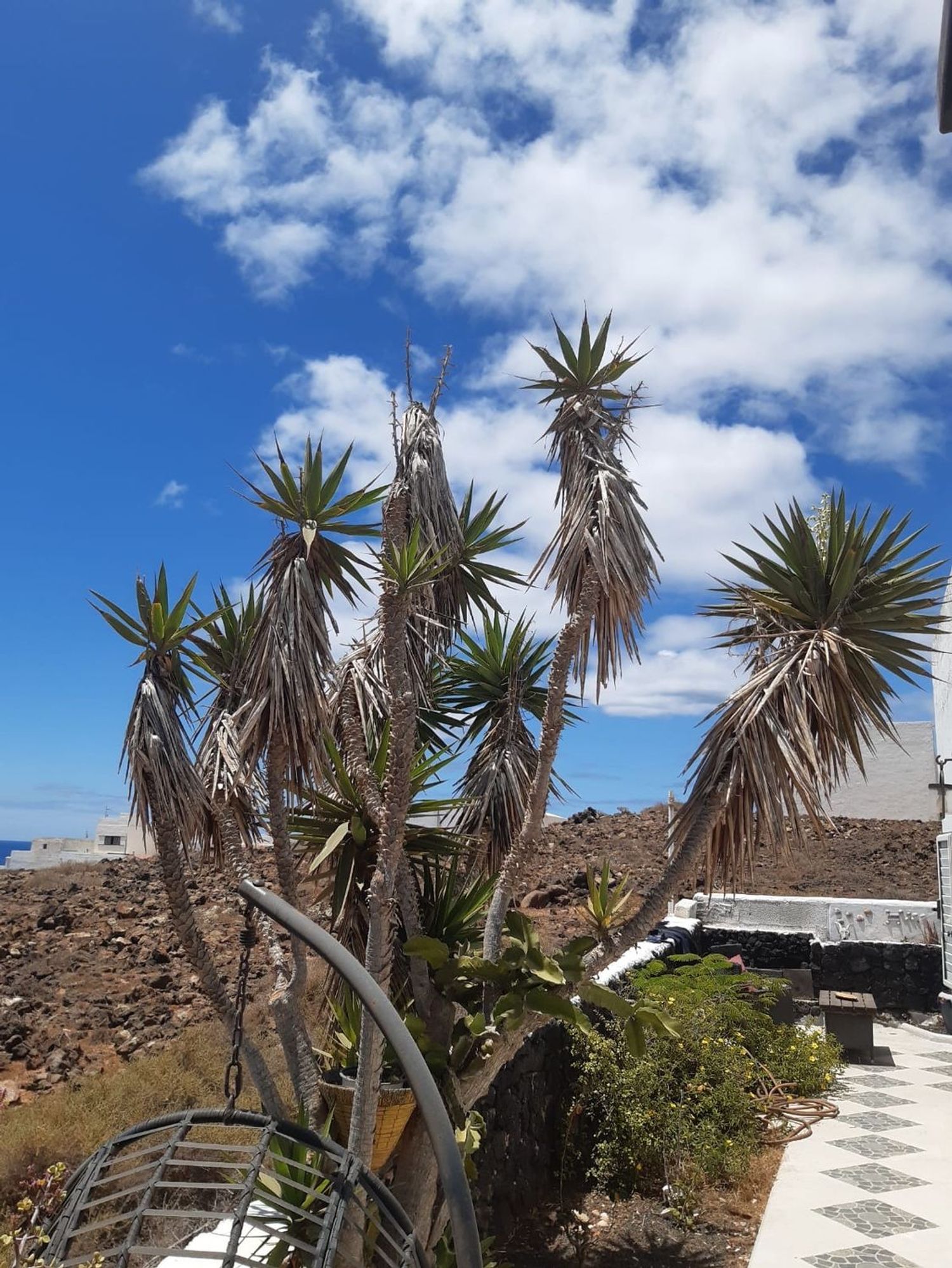 Casa o chalet independiente en Costa Teguise, Costa Teguise - Foto 4