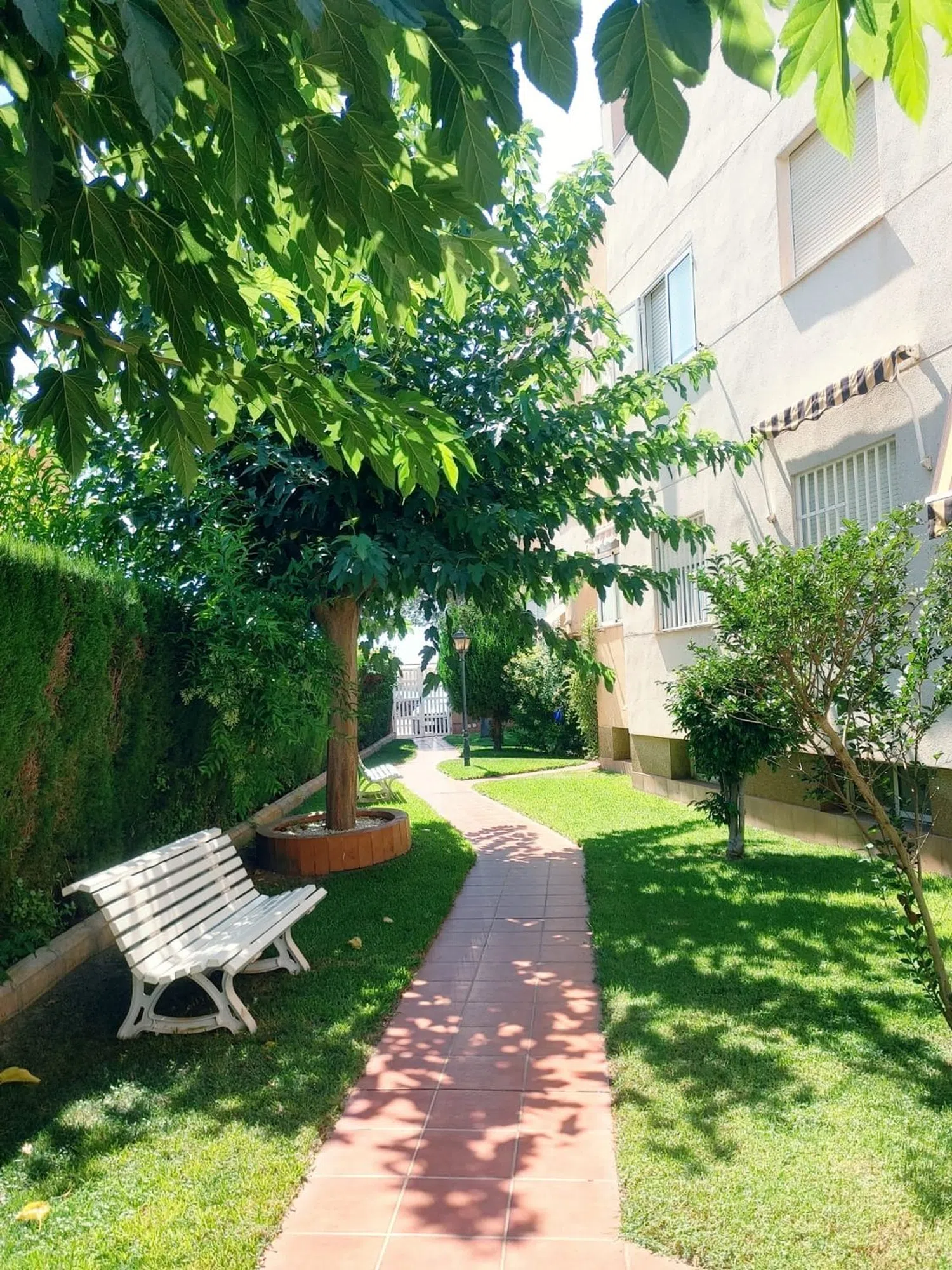 Piso en avenida de la Loteria, 9 - Foto 14