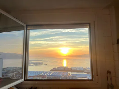 Piso en camelias, 16