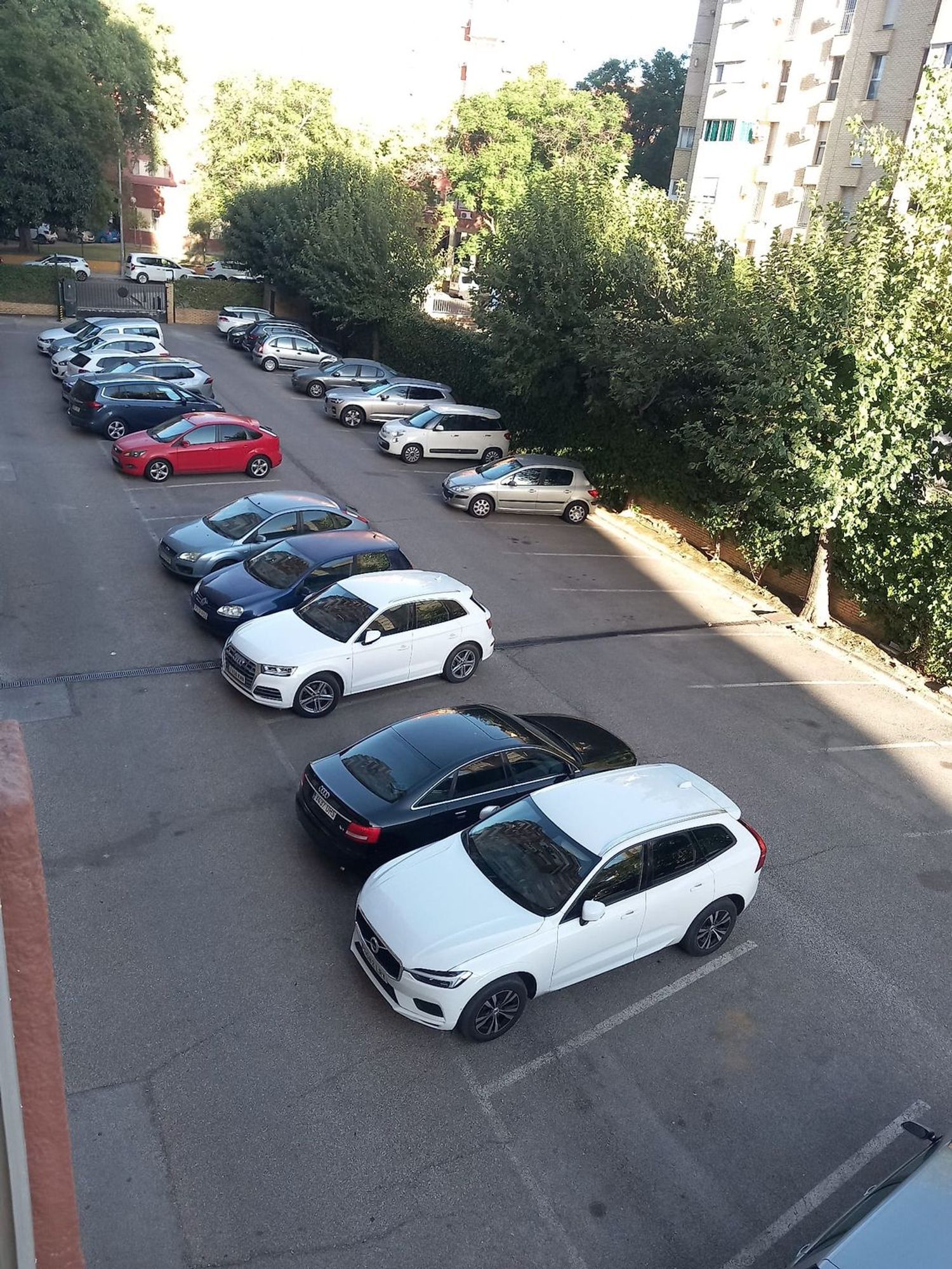 Piso en Avenida Alcalde Juan Fernandez, 13, El Juncal - El Plantinar - Foto 38