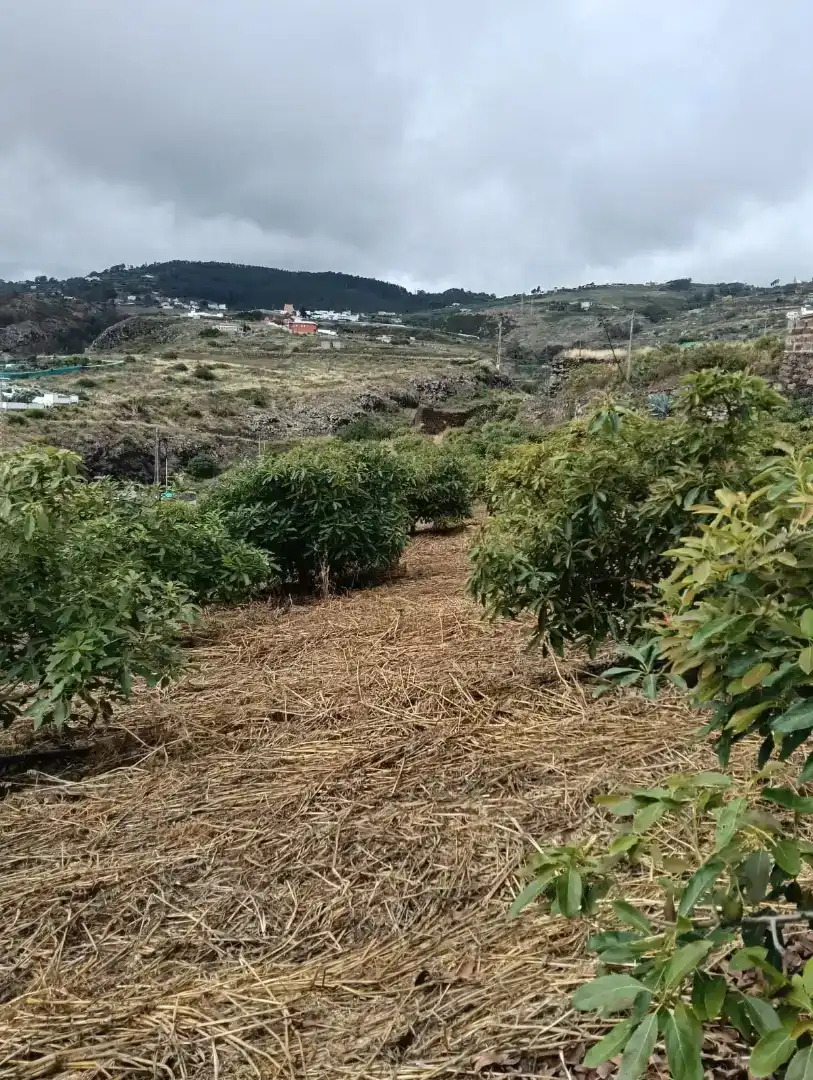 Finca rústica en  Diseminado 70B - Foto 2