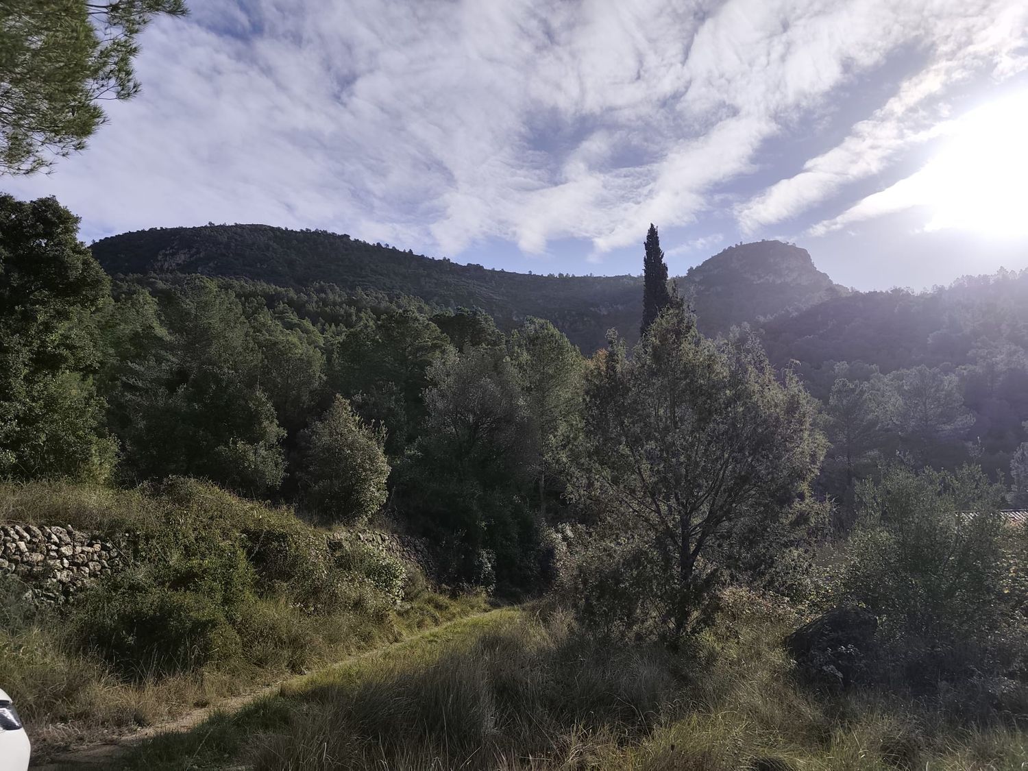 Finca rústica en Vall de sant Marc, la torrussolla s/n - Foto 15