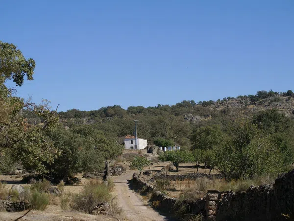 Finca rústica en N-521 s/n - Foto 13