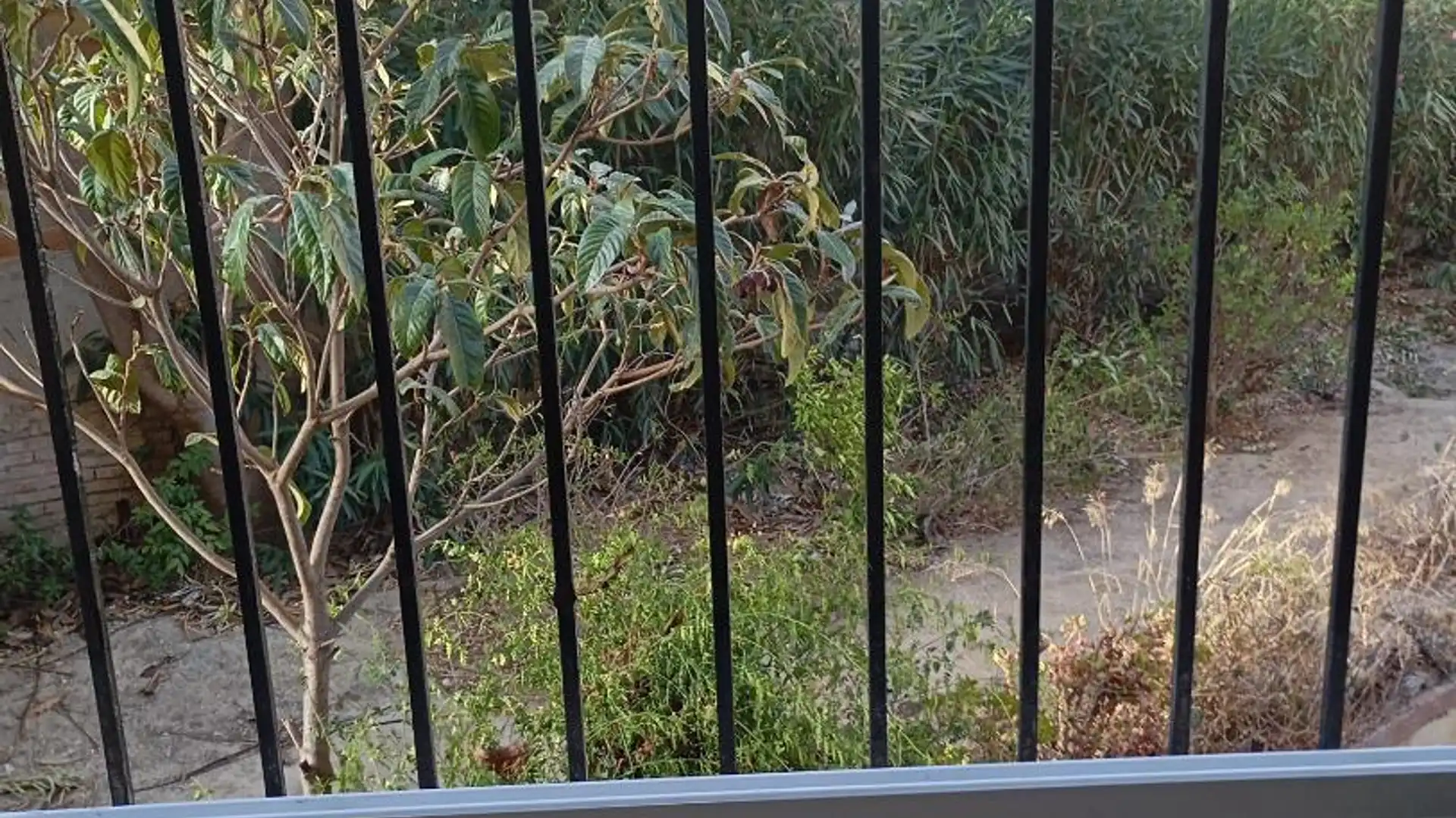 Piso en  Calle Loma del Colegial 6 - Foto 3