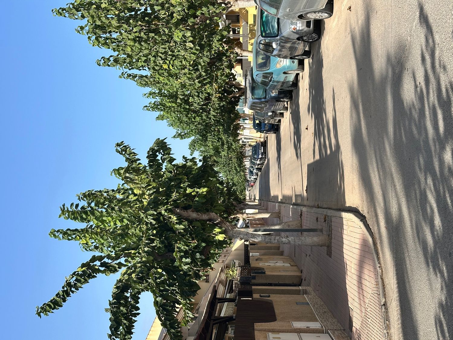 Casa o chalet independiente en Calle de la Hiedra, 17, Los Alcázares, Los Alcázares - Foto 15