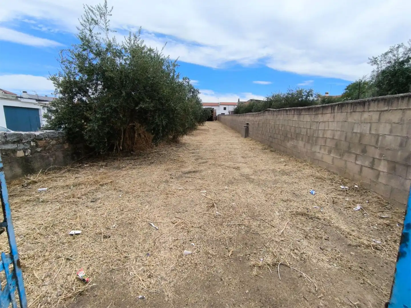 Finca rústica en  Calle Amargura 33 - Foto 19