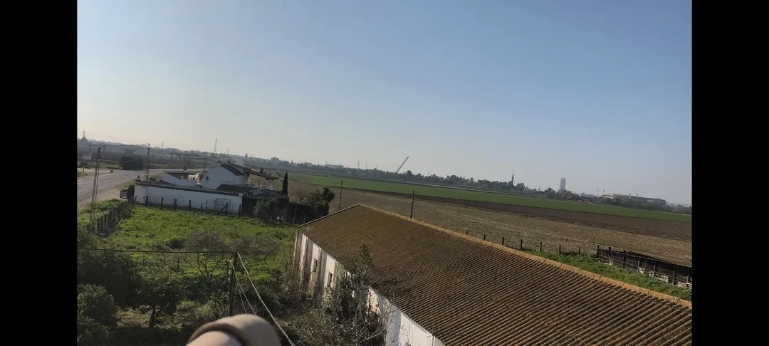 Finca rústica en  Carretera Sevilla 3 - Foto 3