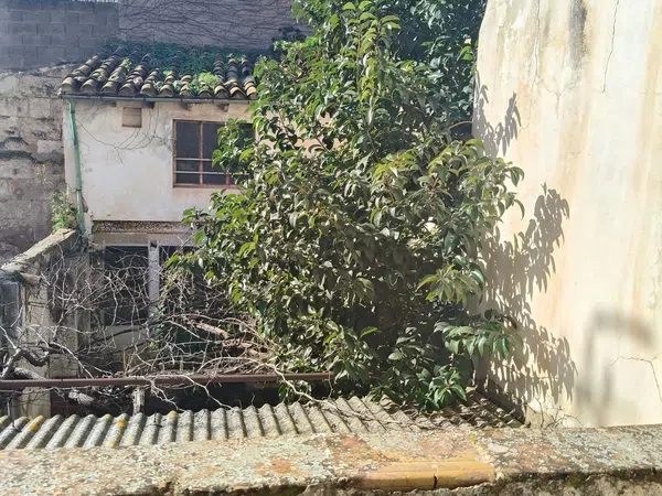 Casa o chalet independiente en Calle del palmer s/n - Foto 29