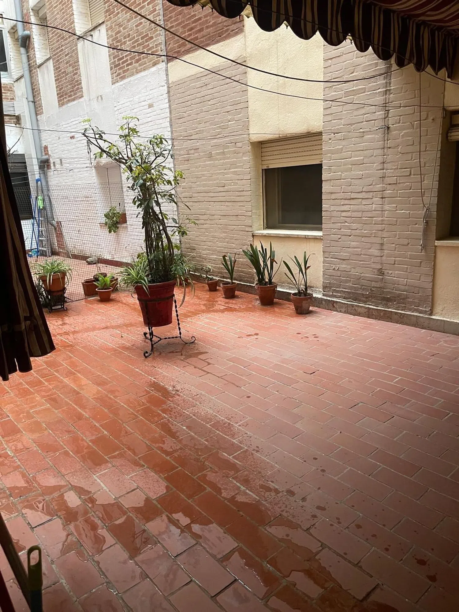 Piso en c/Pintor Espinosa, 1 - Foto 28