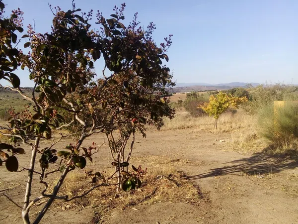 Finca rústica en camino de las laderas, 45 - Foto 21