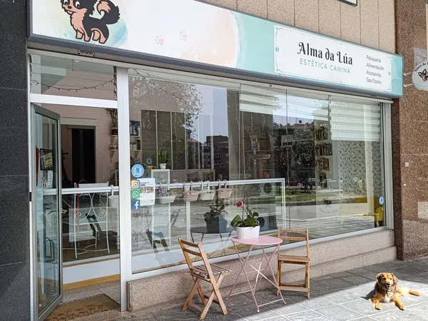 Local en Peluquería en Avenida Alcalde Gregorio Espino, 48, Casablanca - Calvario - Foto 15