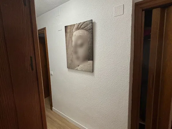 Piso en calle Pintor Aguilera Amate, 321 - Foto 11