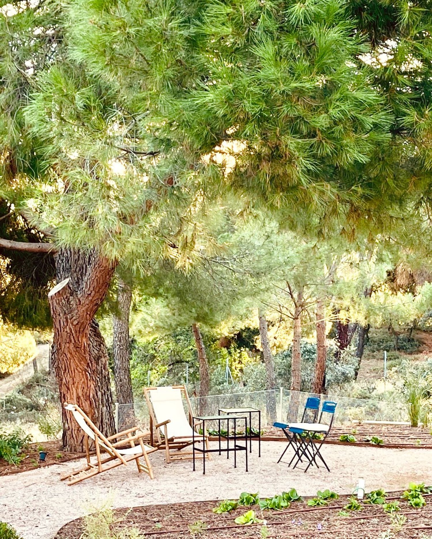 Casa o chalet independiente en Escorzonera, Monteclaro - Foto 4