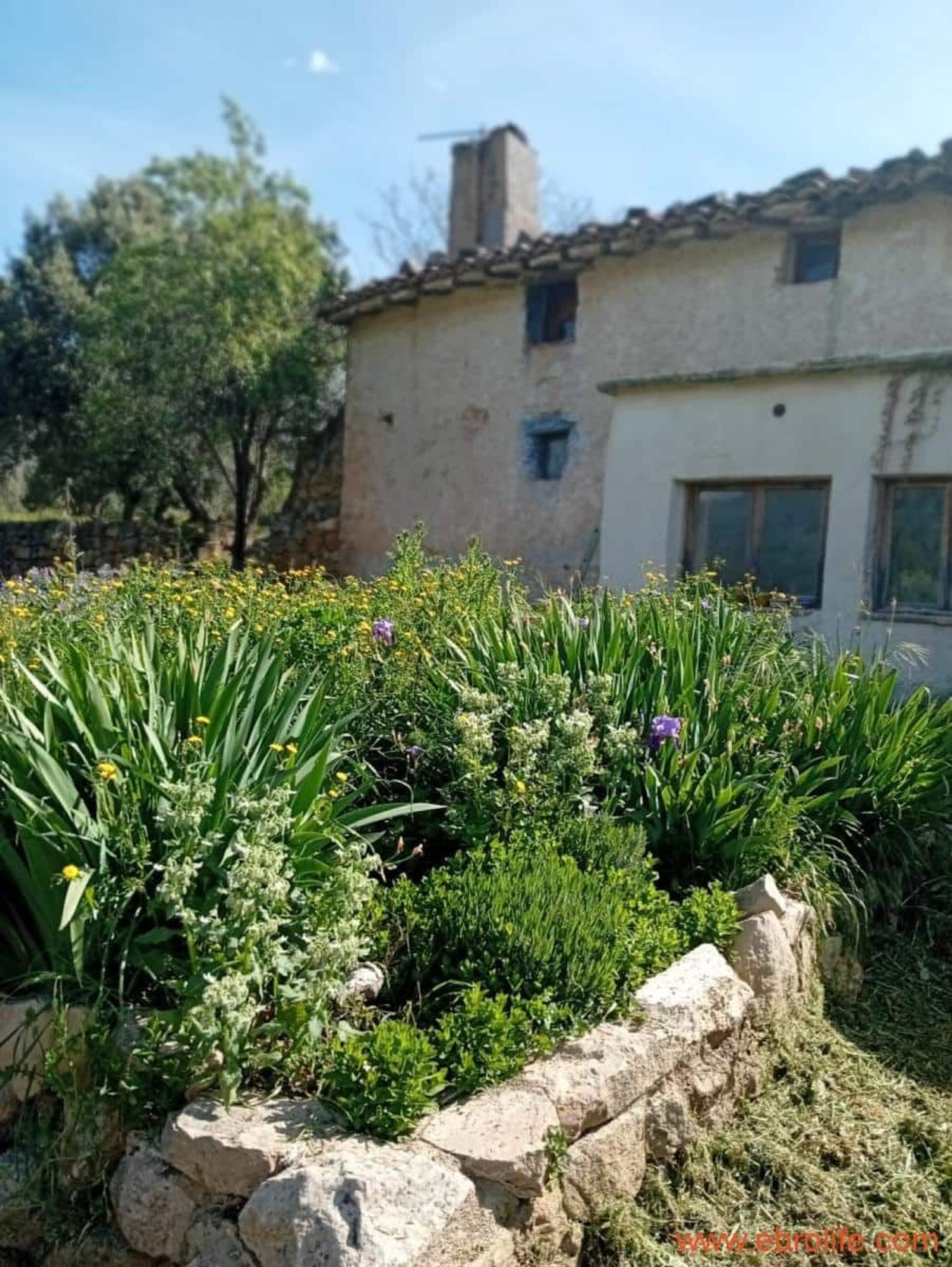 Masía en Masía en Camino del Pantano, 34 - Foto 4