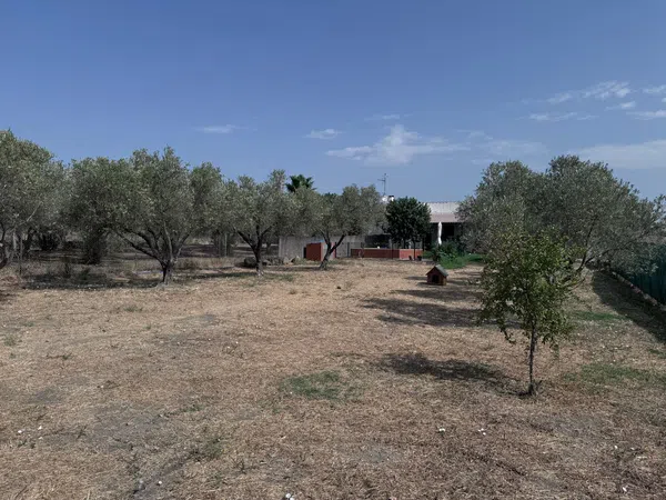 Finca rústica en El Pilar s/n - Foto 15