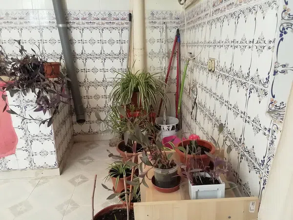 Casa o chalet independiente en Calle Federico García Lorca, 24, La Ñora - Foto 1