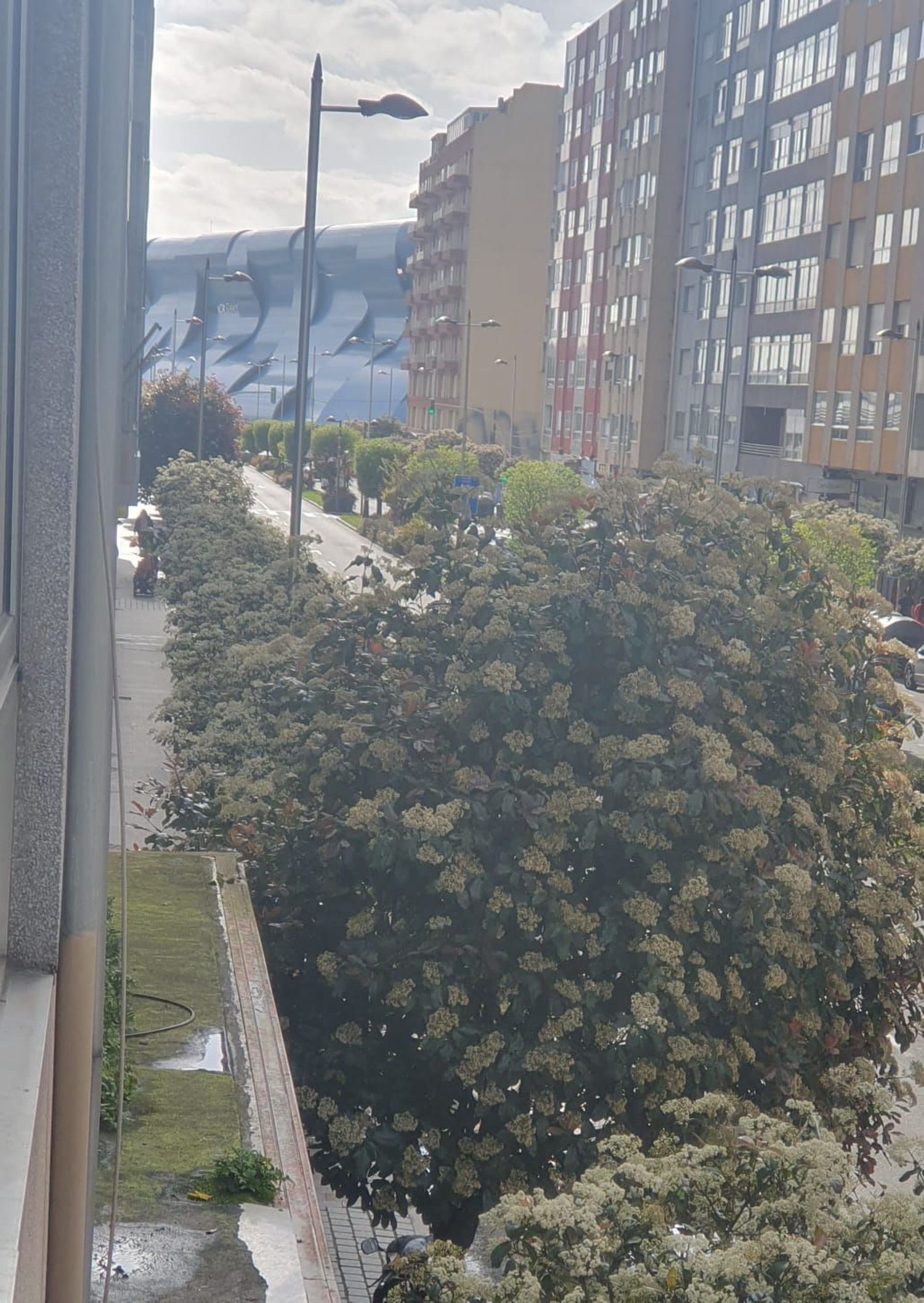 Piso en avenida do Alcalde Portanet, 28 - Foto 12