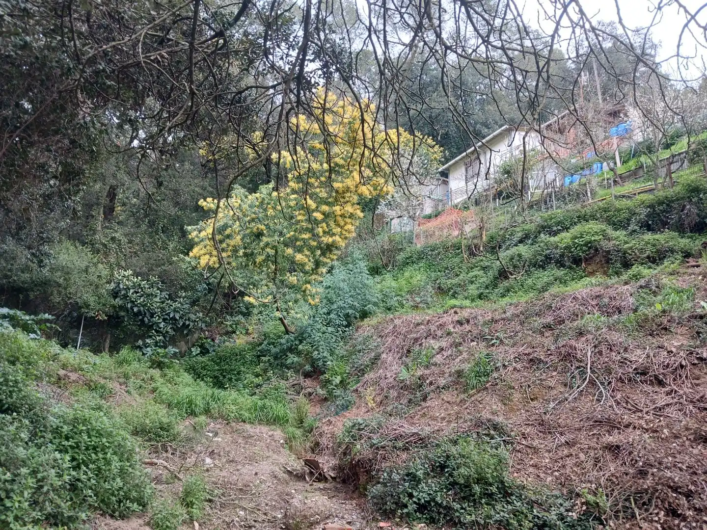 Terreno Residencial en  Carrer Barranc del Llop 29 - Foto 7