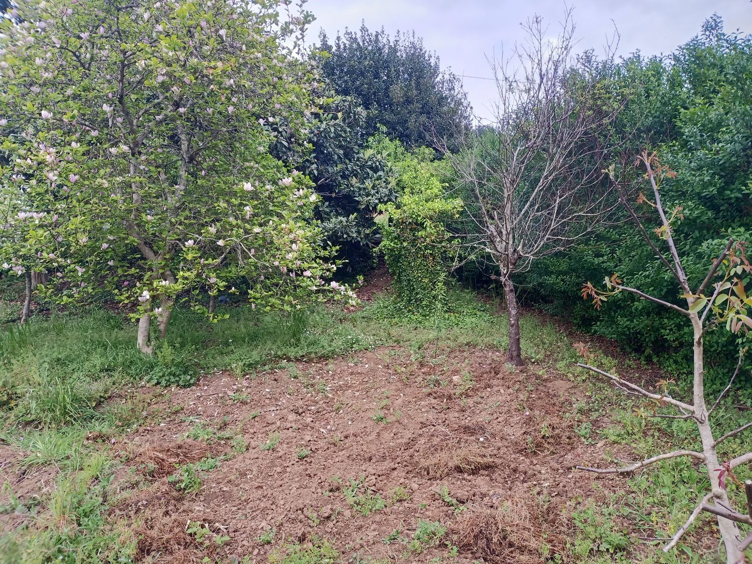 Finca rústica en Lugar Veiga, 5 - Foto 13