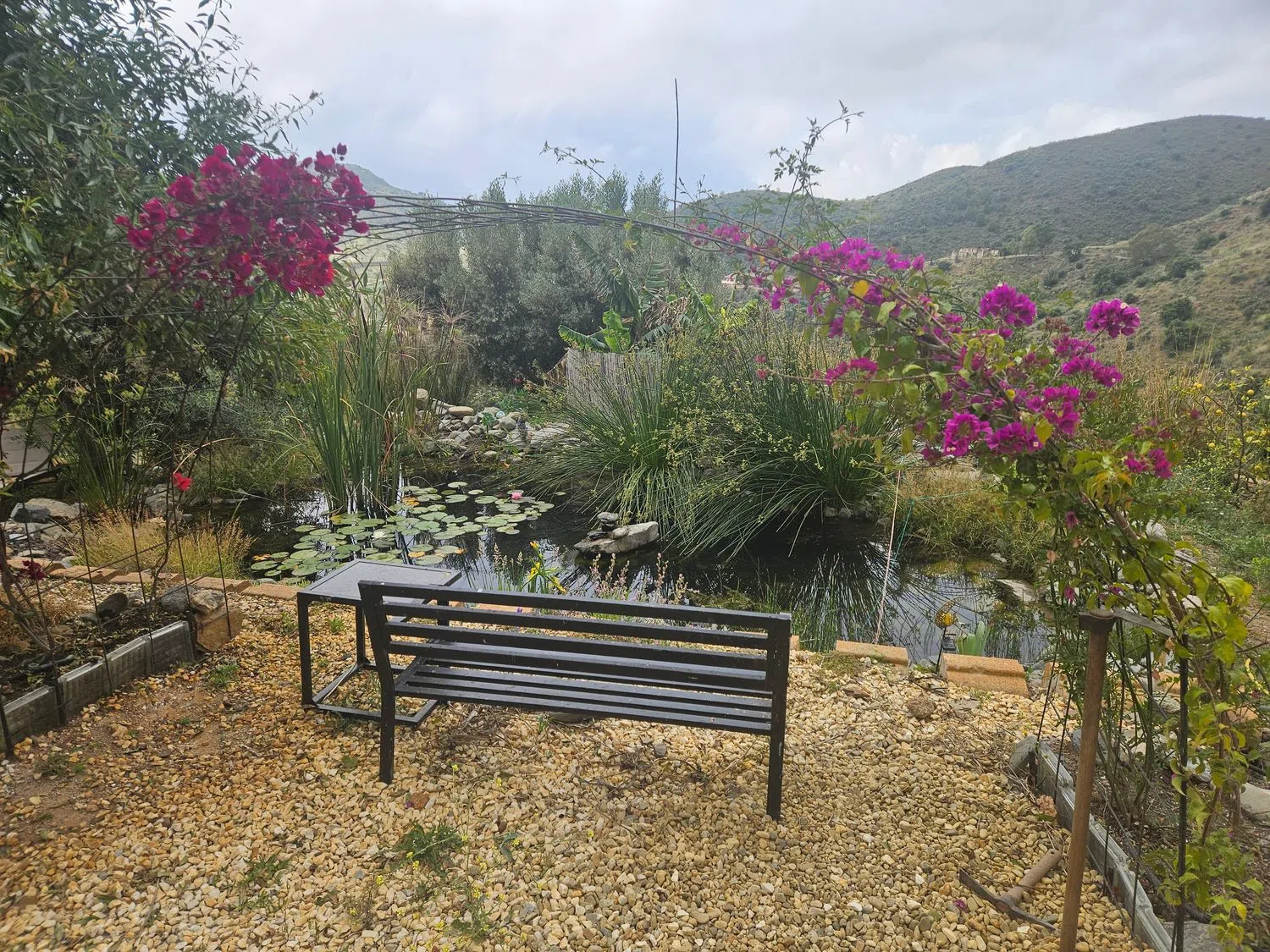 Finca rústica en Diseminado r 8, 57 - Foto 8