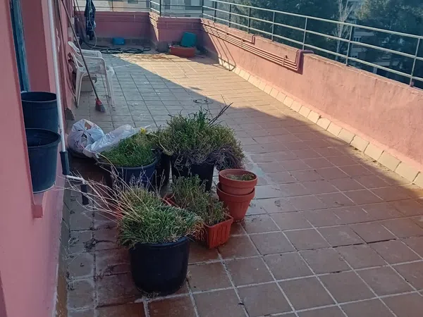 Ático en Calle Canarias, 1, Casetas - Garrapinillos - Monzalbarba, Casetas - Garrapinillos - Monzalbarba - Foto 14
