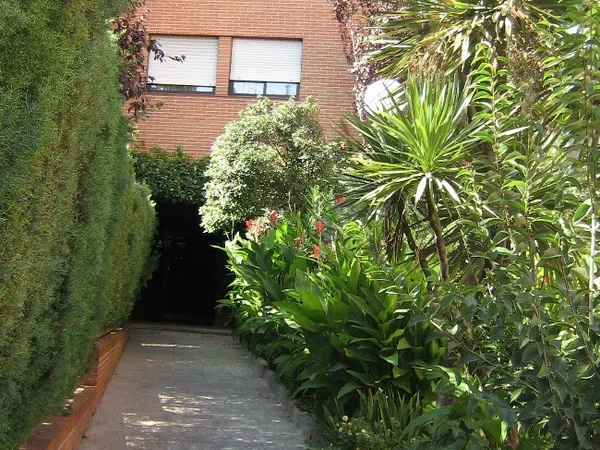 Piso en Calle Diego Ayllón, 11, San Juan Bautista - Foto 17