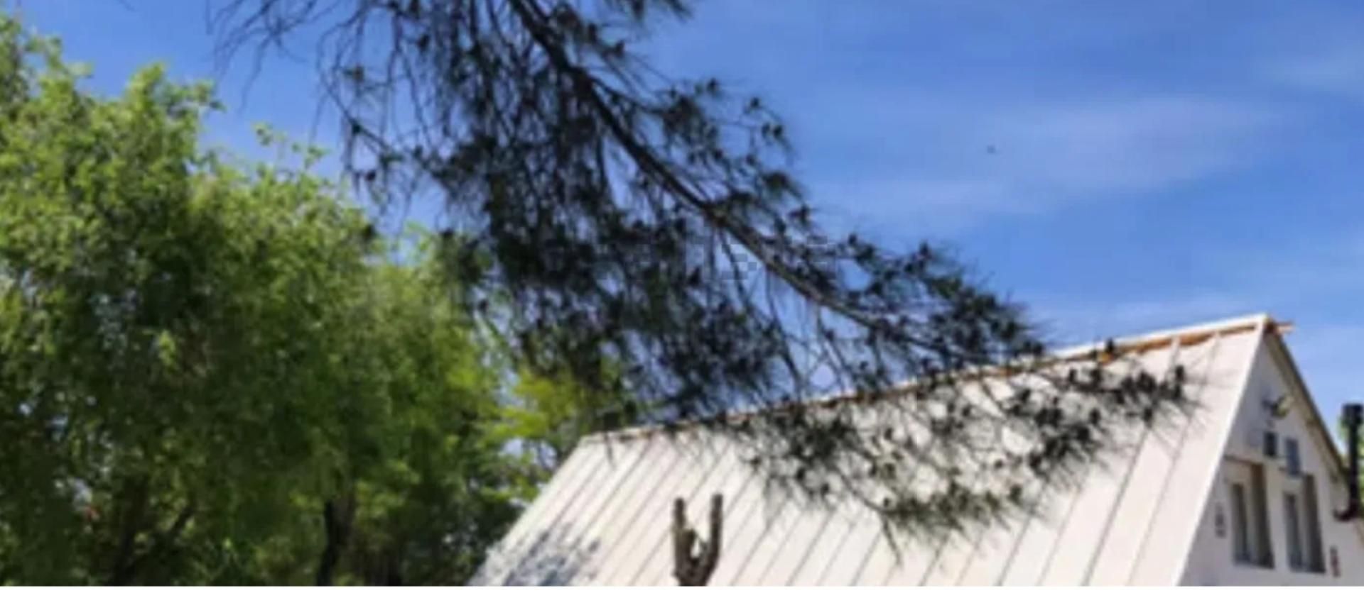 Finca rústica en  M-505 10 - Foto 2