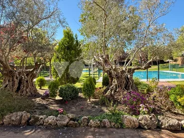 Planta baja en Majadahonda - Foto 50