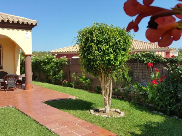 Casa independiente en calle Codorniz, 510 - Foto 27