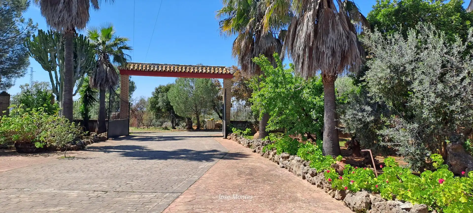 Finca rústica en  Calle Marcelino Champagnat 1A - Foto 4
