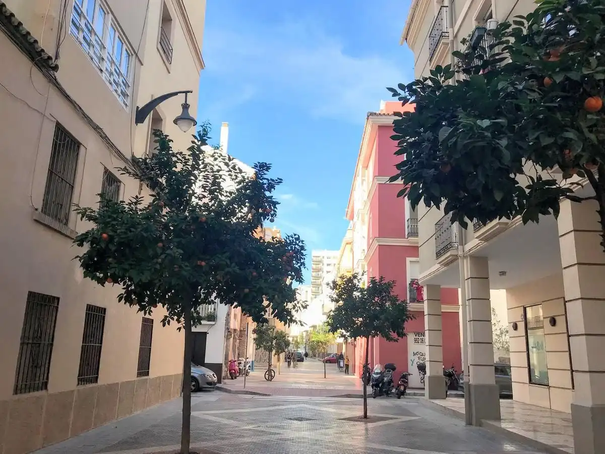 Piso en  Calle Ancha del Carmen 11 - Foto 8