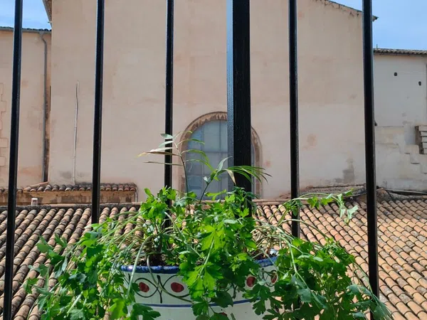 Piso en Calle de Tomàs Forteza, 25, Foners - Foto 36