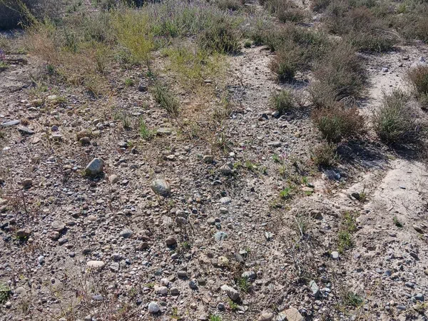 Cortijo en Barriada las Cunas s/n - Foto 12
