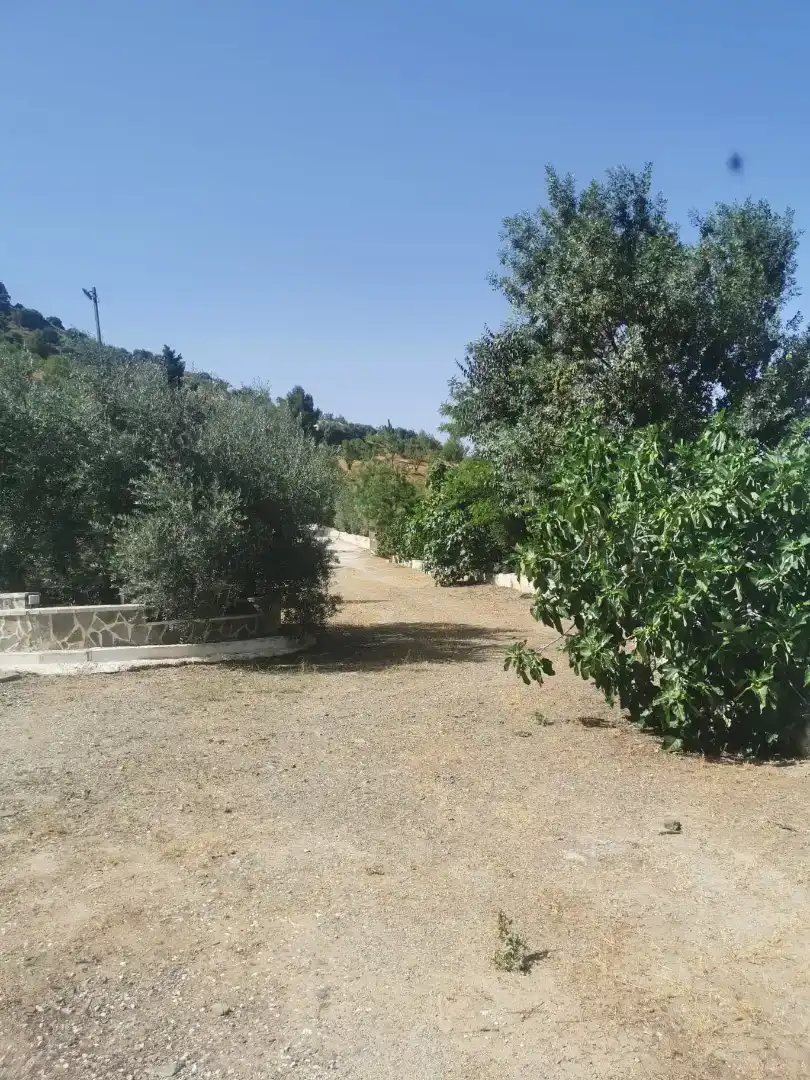 Finca rústica en  Plaza Llanete de Arriba 2 - Foto 4