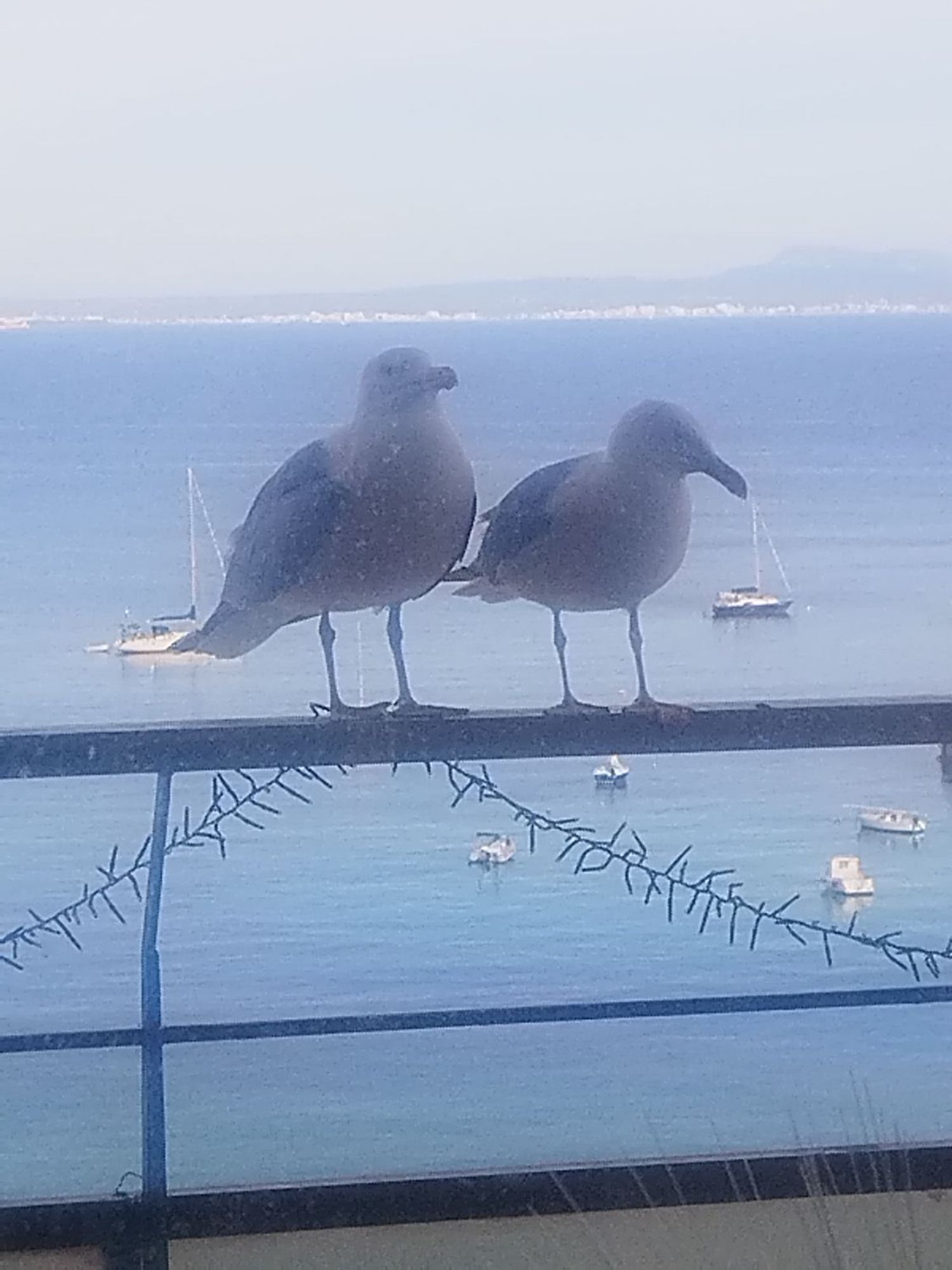 Ático en avenida de Son Matíes, 2 - Foto 7