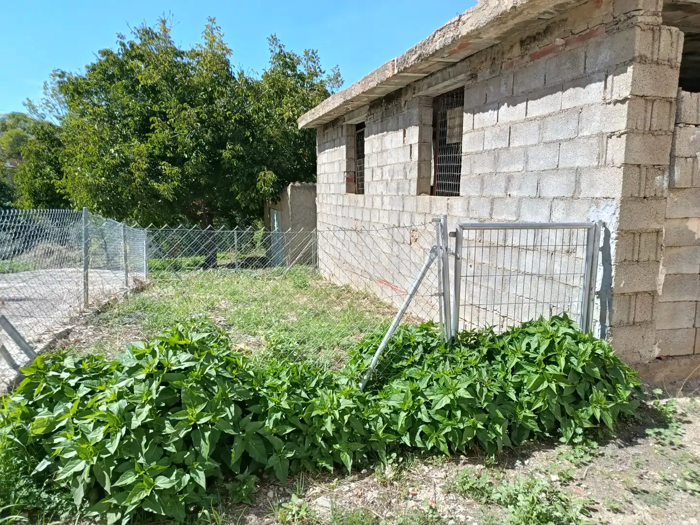 Finca rústica en  Calle Casas 78 - Foto 3