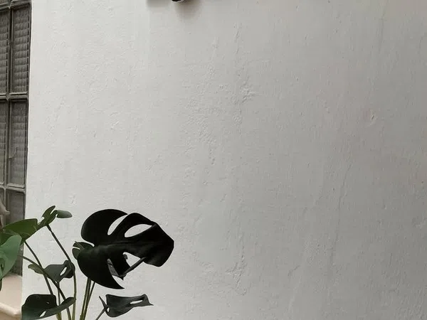 Piso en Centro, Centro - Foto 38