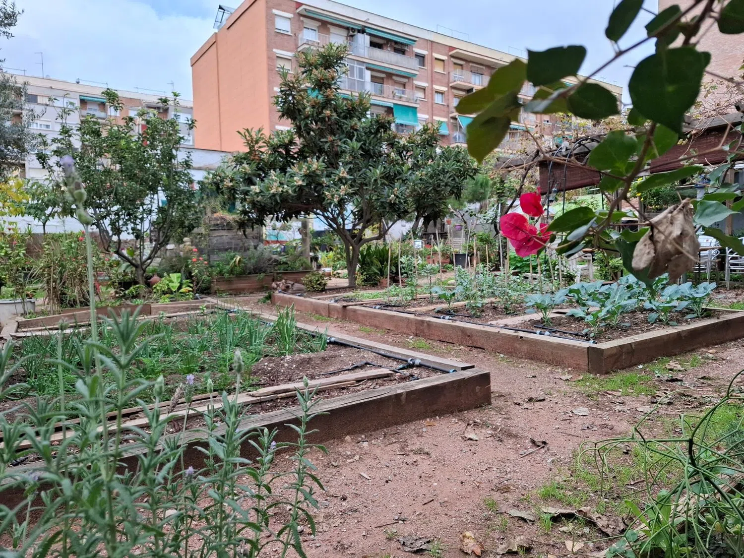 Piso en calle de Piferrer, 114 - Foto 24