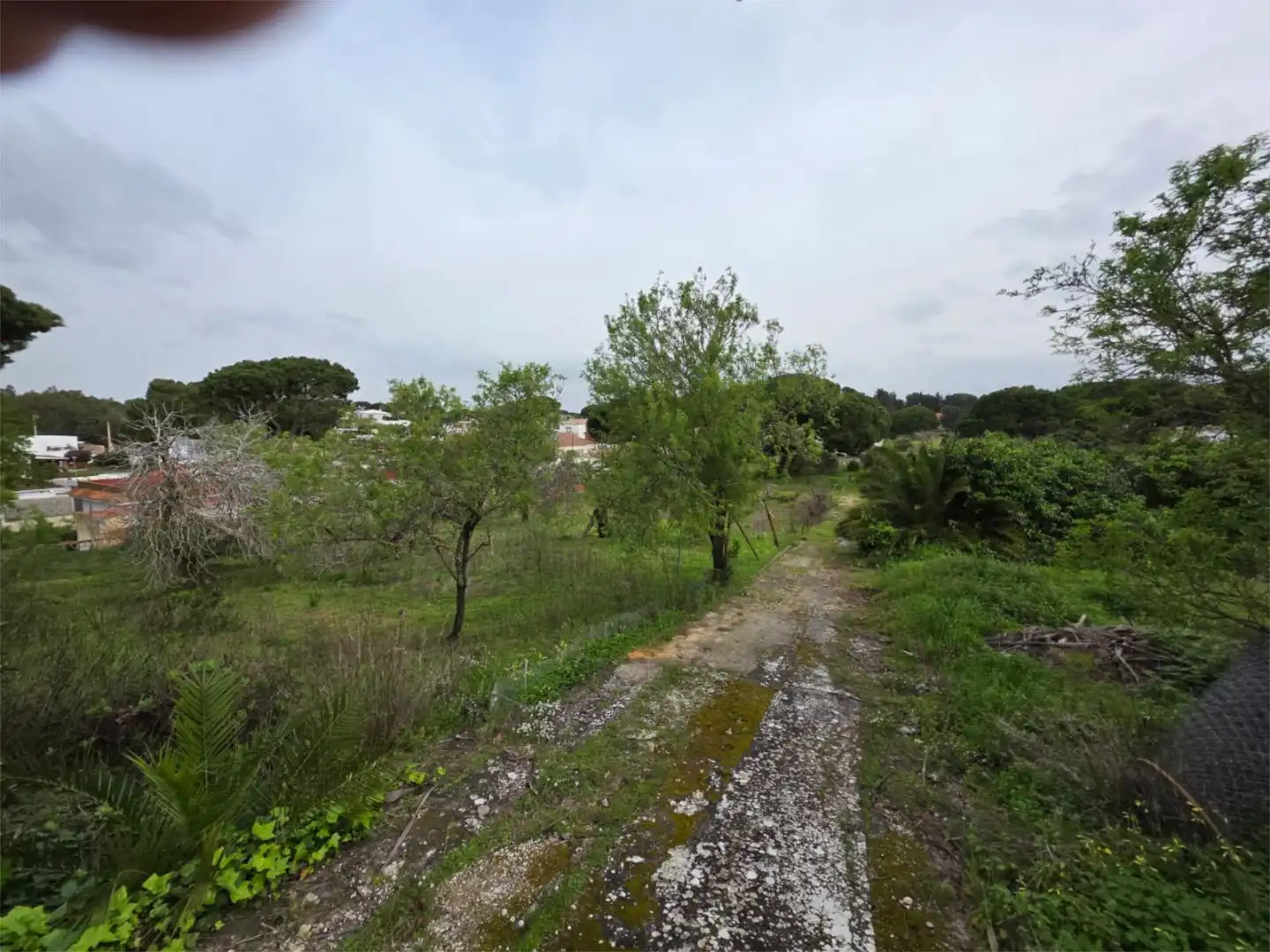 Finca rústica en  Camino del Guadalmesí 9 - Foto 22