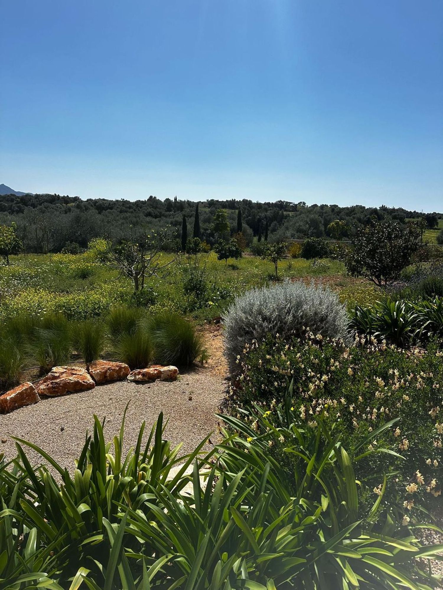 Casa rural en Carretera Ma-5110, 15, Manacor Centro, Manacor Centro - Foto 11