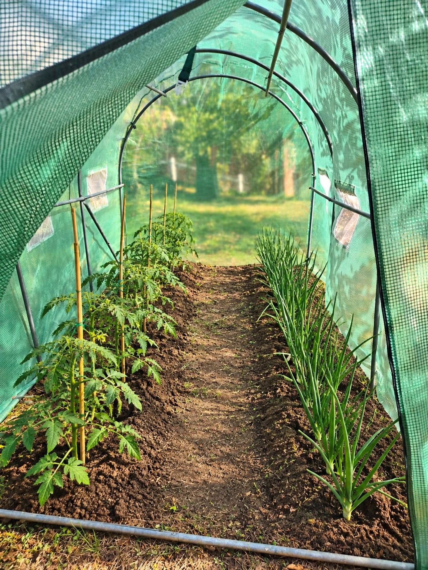 Casa o chalet independiente en Aller - Foto 13