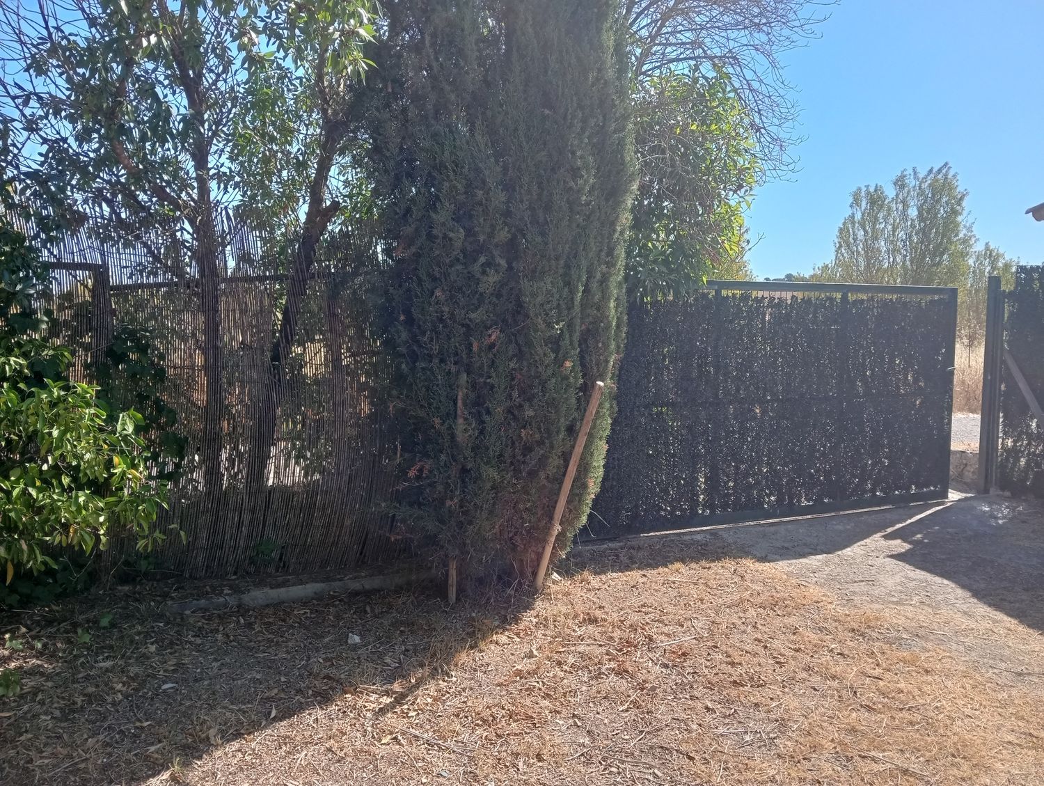 Finca rústica en Son santandreu, 541 - Foto 15