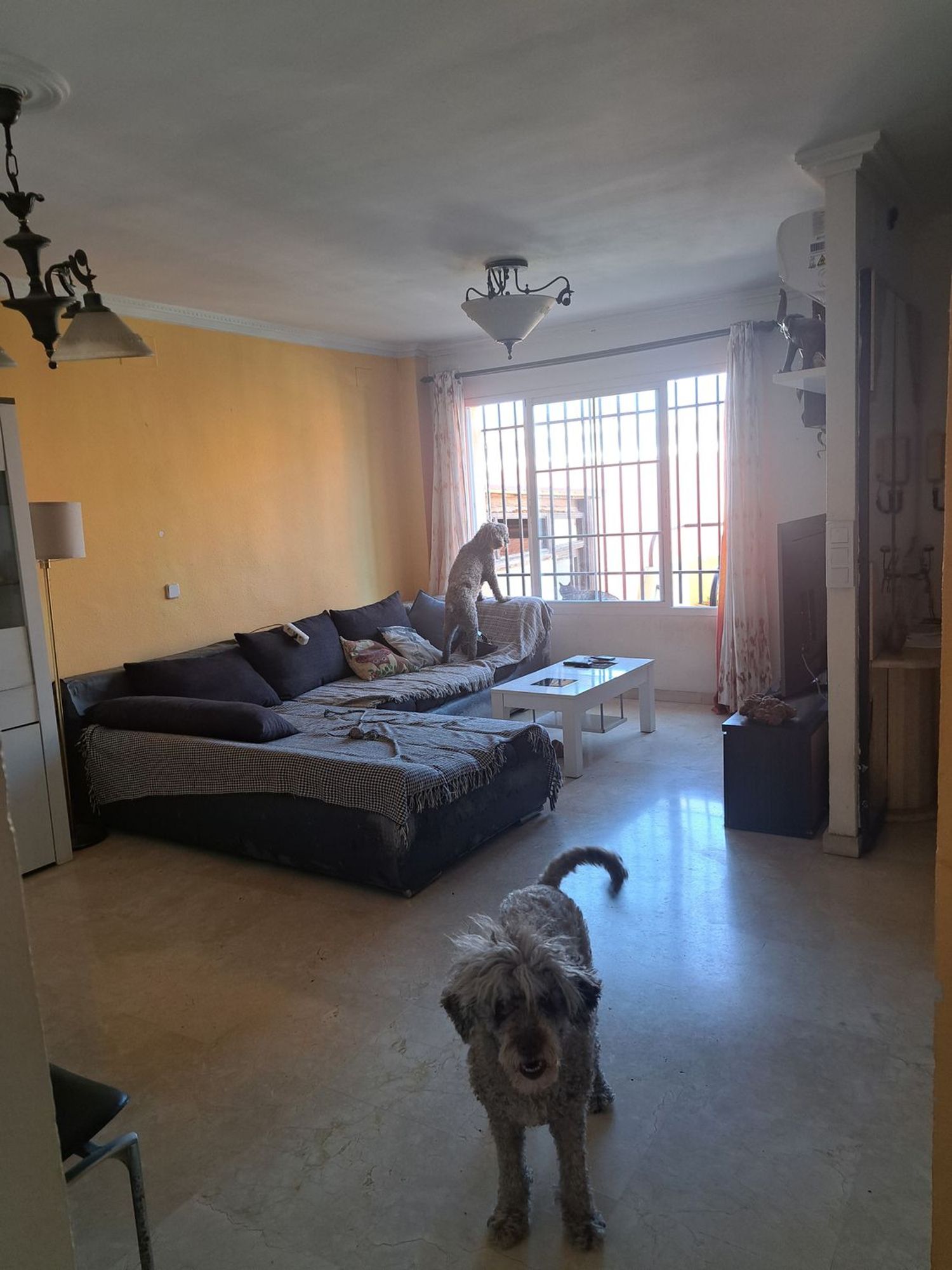 Casa o chalet independiente en Avenida del Caribe, 71 - Foto 7