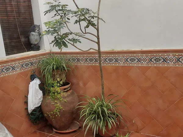 Casa de pueblo en Calle Carnicería, 11 - Foto 4